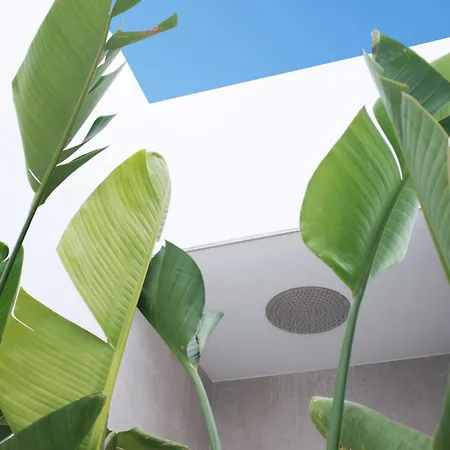 La Villuca By Aura Collection *